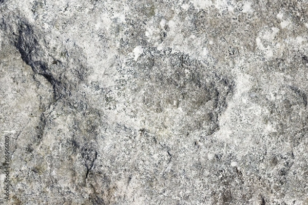 Fototapeta Stone texture