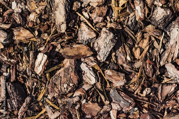 Fototapeta Wooden texture