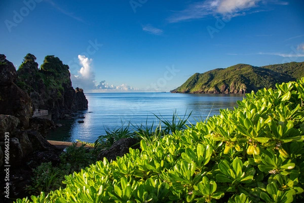 Obraz 奄美大島の夏の海。