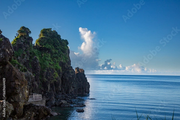 Obraz 奄美大島の夏の海。