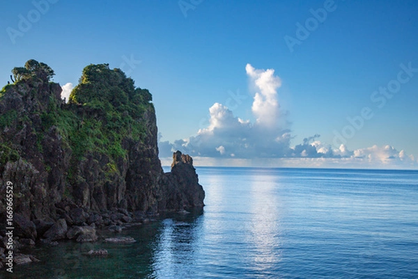 Obraz 奄美大島の夏の海。