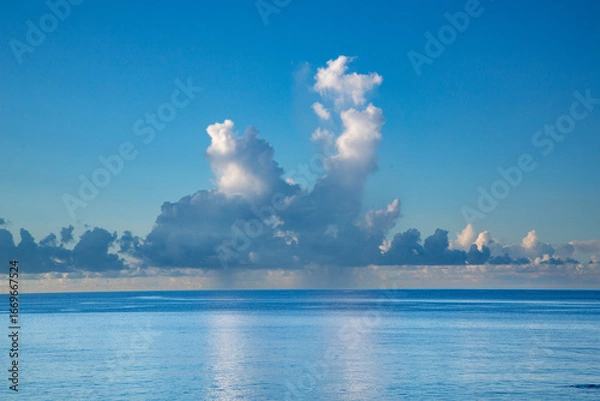 Obraz 奄美大島の夏の海。