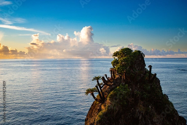 Obraz 奄美大島の夏の夕景。