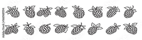 Obraz Raspberry icons set vector illustration