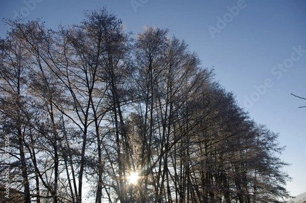 Obraz nature de bourgogne