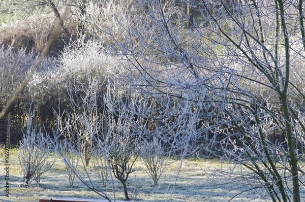Obraz nature de bourgogne