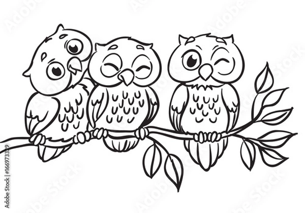 Obraz Trzy sowy siedzą na gałęzi. Przedstawione dla kolorowanka.