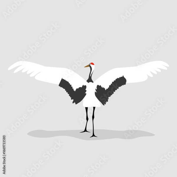 Obraz Red-crowned crane ,Grus japonensis, bird dancing with wings spread, Vector illustration.