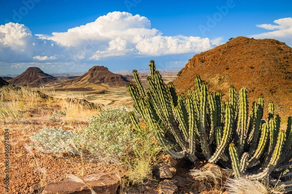 Obraz Landscape in Damaraland region - Namibia
