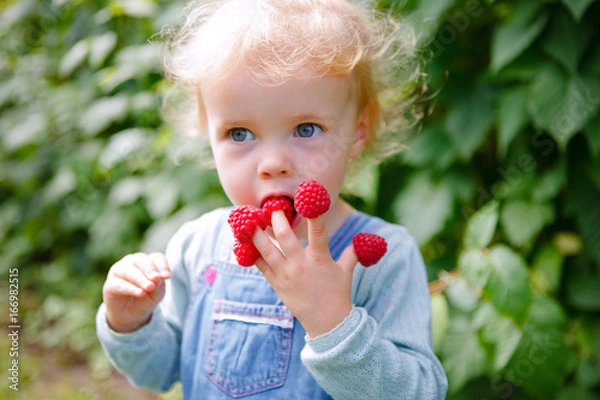 Obraz paluszki malinowe