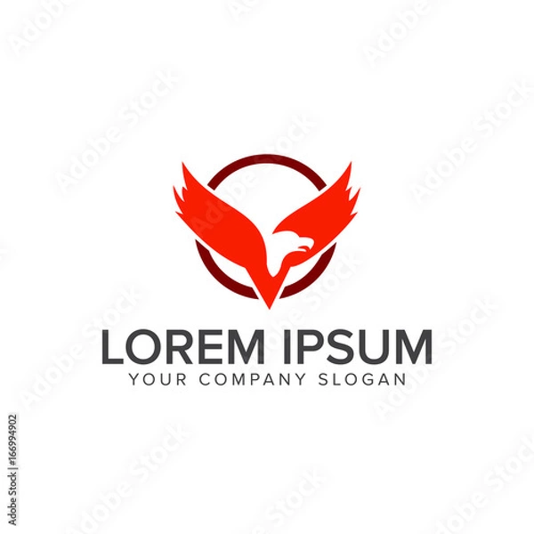Fototapeta eagle Bird logo design concept template
