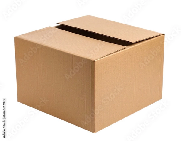 Fototapeta Moving cardboard box isolated on white.