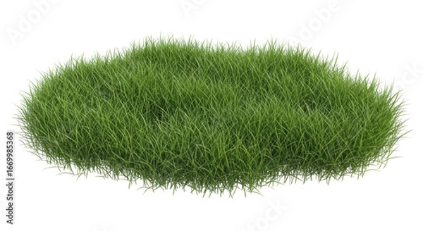 Fototapeta Isolated Grass