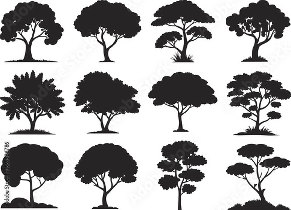 Fototapeta Tree silhouette vector set, black forest shapes, botanical illustration, nature icons, landscape design elements, diverse foliage, seasonal tree collection, editable graphic