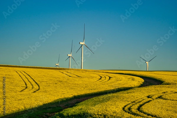 Fototapeta A breathtaking view of the Overberg region in South Africa’s Western Cape, where rolling fields of green and gold stretch toward the Langeberg mountains. These landscape offers expansive copy space