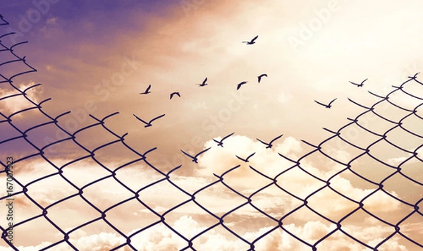 Fototapeta Chainlink fence with Hole against a Cloudy Blue Sky and Birds, Fight for Better Life concept,Think out of the box concept