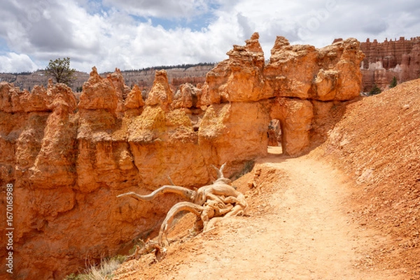 Fototapeta View of rocks in Bryce Canyon National Park, Queens Garden Trail, Utah, USA. View of red and orange sharp rock needles.	