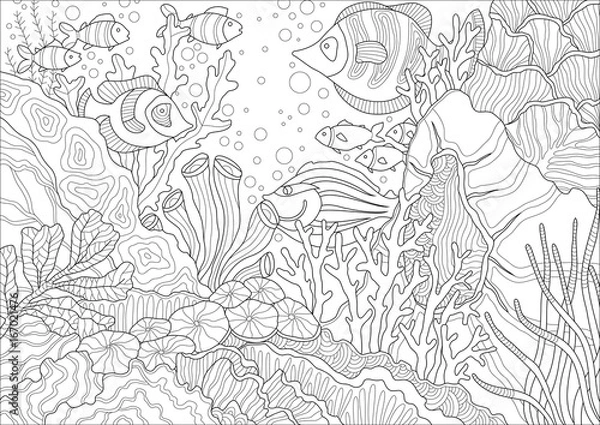Obraz Coral Reef graphic vector illustration