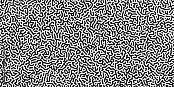 Obraz Abstract Reaction-diffusion Turing pattern natural texture gray gradient color scheme. Linear design with biological algorithm psychedelic background. Reaction-diffusion or truing patter