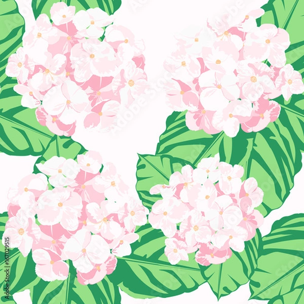 Obraz The hydrangea garden in the spring.Pink flower is vector for seamless pattern and background.