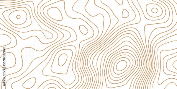 Fototapeta Seamless Light topographic topo contour map background, vector illustration