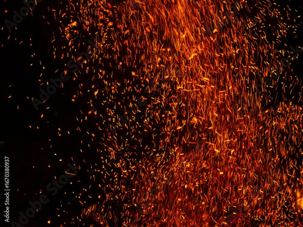 Fototapeta Sparks Flurry 160