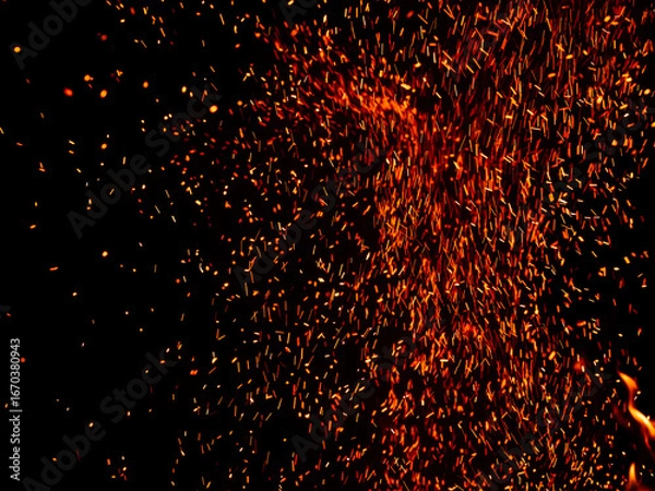 Fototapeta Sparks Flurry 130