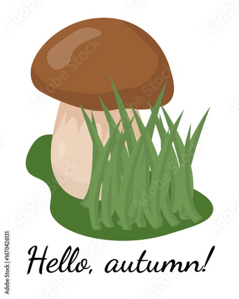 Fototapeta Hello, autumn, Postcard with a mushroom in the grass for design