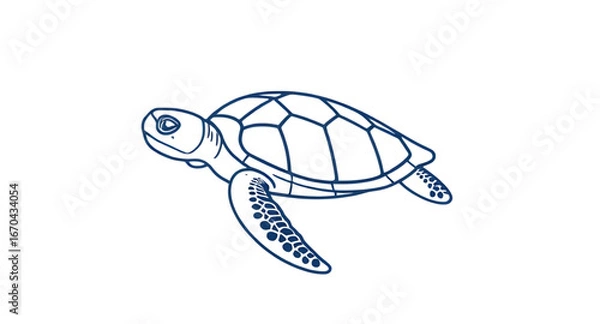Fototapeta sea turtle drawing, cute turtle drawing, cartoon turtle, turtle art, turtle outline, turtle doodle, turtle vector, turtle ink drawing, hand drawn turtle, baby turtle drawing, turtle black and white, r