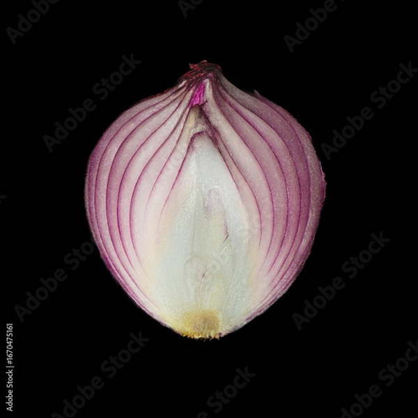 Obraz Red Onion Half Isolated on Black Background
