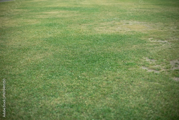 Fototapeta A soccer field with no people on it. Short cut grass. A green field.