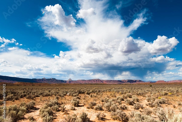 Obraz utah sandstone cliff panorama