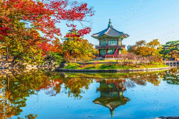 Obraz Gyeongbokgung Palace focus dark tones and a maple tree in autumn Korea
