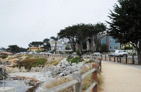 Obraz California Coast