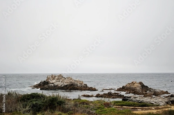 Obraz California Coast