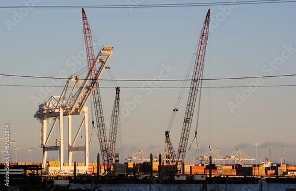 Obraz California City