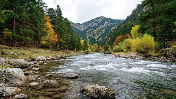 Fototapeta Mountain river with forest trees and autumn foliage in scenic valley with rocky shore and hills