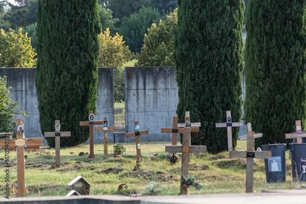 Fototapeta cimitero