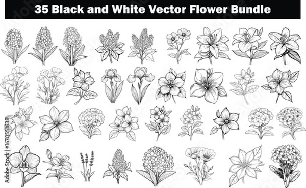 Fototapeta Black and White Botanical Illustrations, An assortment of 35 black and white vector flower illustrations, showcasing botanical elegance. Perfectly suited for various creative applications