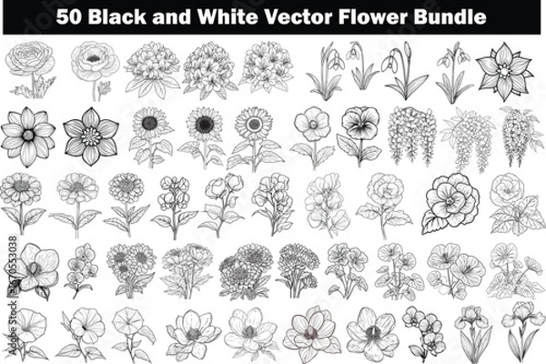 Fototapeta 50 Black and White Vector Flower Bundle, Hand Drawn Floral Vector Collection, Botanical Black and White Vector Set, Detailed Vector Flower Illustrations.
