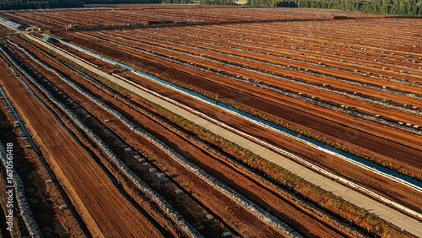 Obraz Aerial view of a large peat bog harvesting site with long parallel rows of extracted peat, wooden pallets, and covered stacks stretching across the landscape.