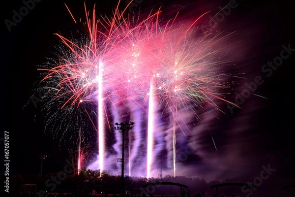 Fototapeta 中津の花火