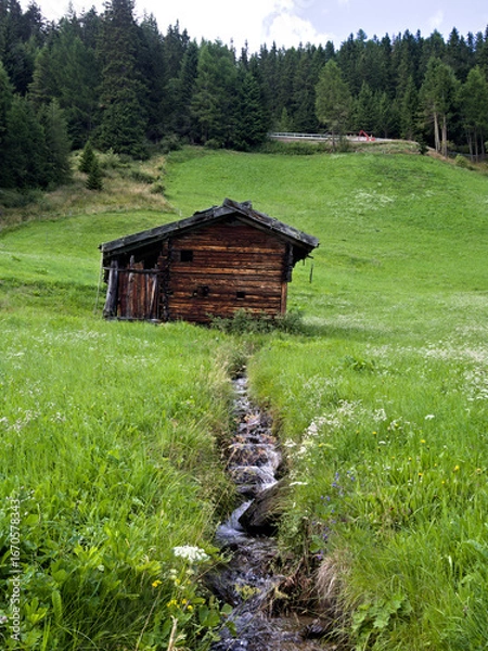 Fototapeta Rustic cabin in the mountains of South Tyrol surrounded by greenery.