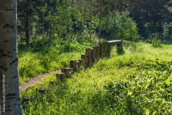 Fototapeta Natural log stepping playground for children in park. Wooden play structures and balance beams for kids.