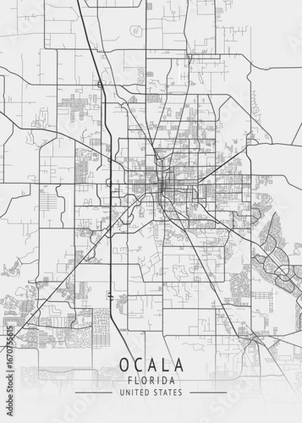Obraz Ocala - Florida - US Gray Map Art