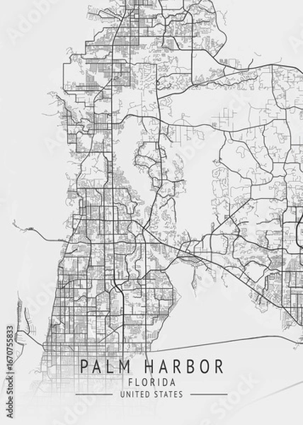 Fototapeta Palm Harbor - Florida - US Gray Map Art