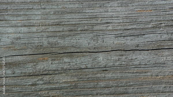 Fototapeta Gray surface of old wood with horizontal cracks.