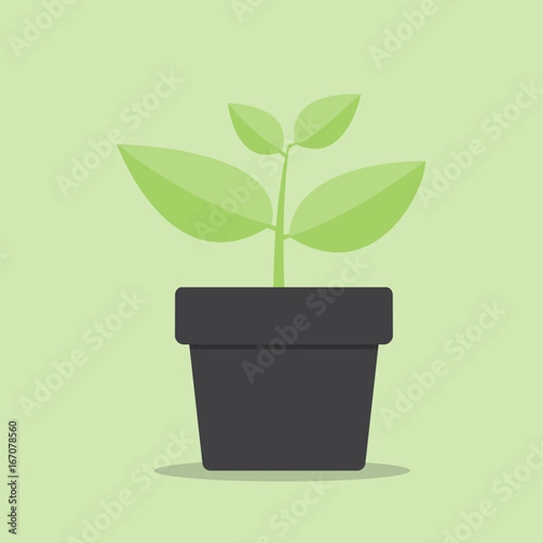 Fototapeta Small tree icon. Cartoon illustration of small tree vector icon for web