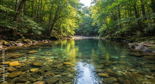 Obraz river in the forest