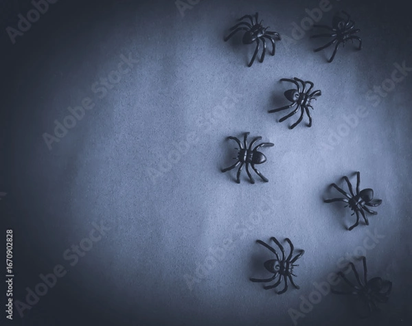 Fototapeta black spiders on a dark background with space for text